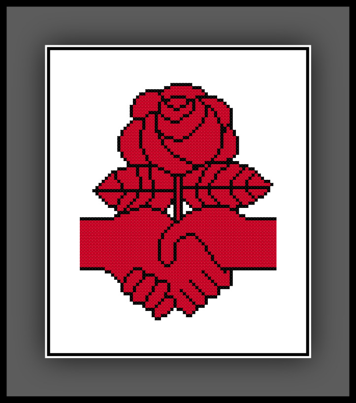 Democratic Socialist Preview